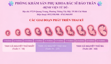 Tam cá nguyệt là gì? Đặc điểm các kỳ tam cá nguyệt mẹ bầu cần biết