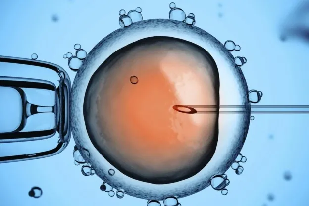 THỤ TINH TRONG ỐNG NGHIỆM (IVF)
